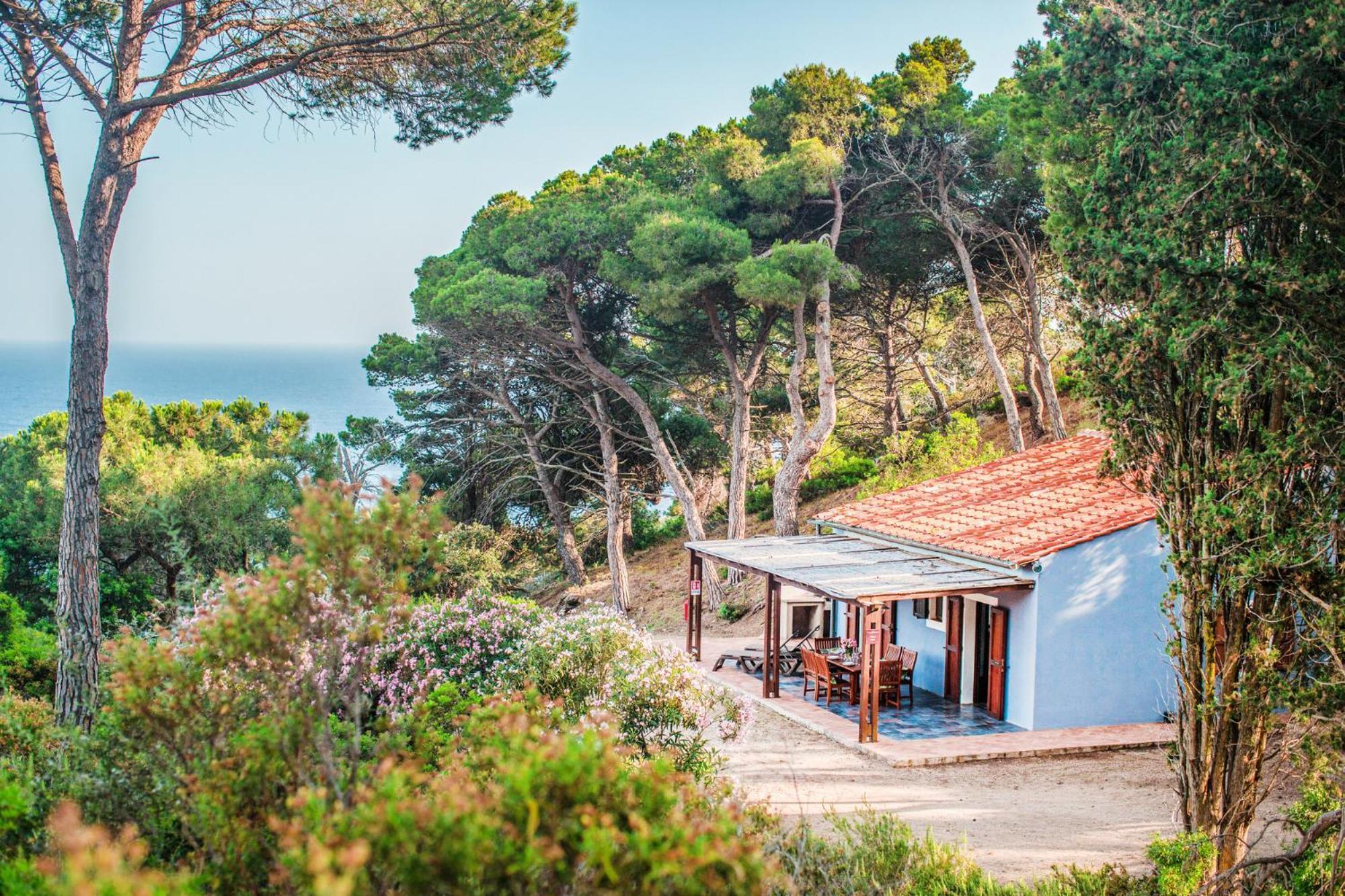 Tenuta Delle Ripalte Capoliveri  Luaran gambar