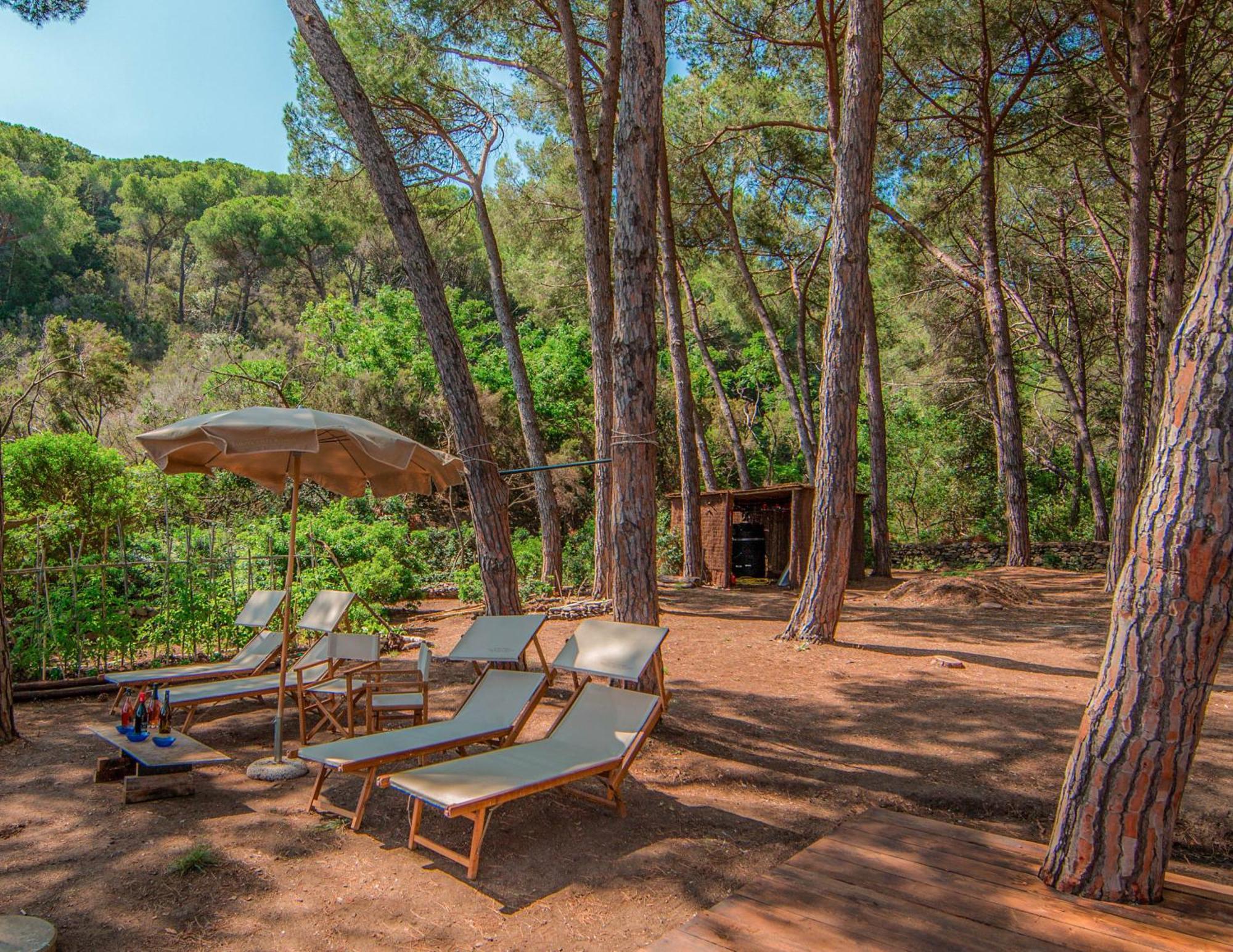 Tenuta Delle Ripalte Capoliveri  Luaran gambar