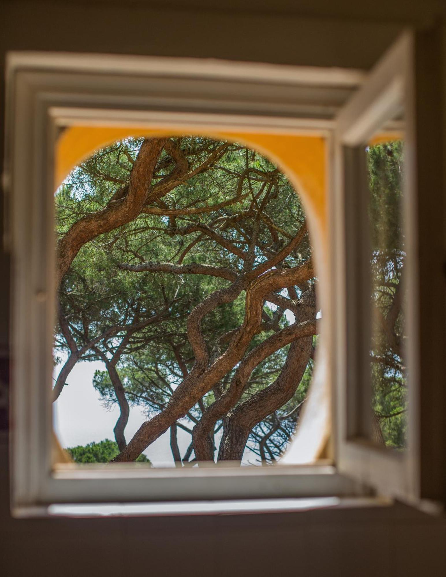Tenuta Delle Ripalte Capoliveri  Luaran gambar